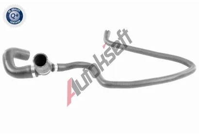 VAICO Hadice chladie VAC V40-1165, V40-1165