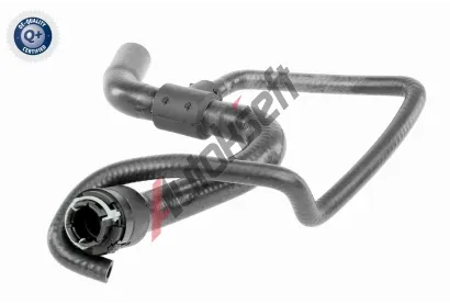 VAICO Hadice chladie VAC V40-1351, V40-1351