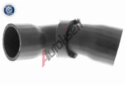 VAICO Hadice plnicho vzduchu VAC V42-0613, V42-0613