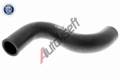 VAICO Hadice chladie VAC V42-0638, V42-0638