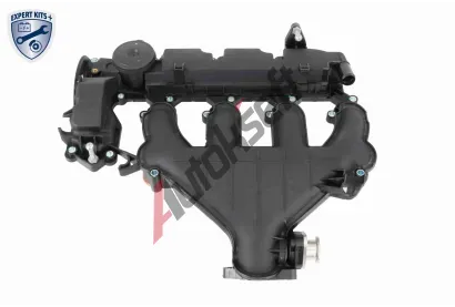 VAICO Kryt hlavy vlce EXPERT KITS + VAC V42-1046, V42-1046