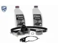 VAICO Vodn� pumpa - sada ozuben�ho �emene EXPERT KITS +&nbsp;&dash;&nbsp;VAC V46-50023