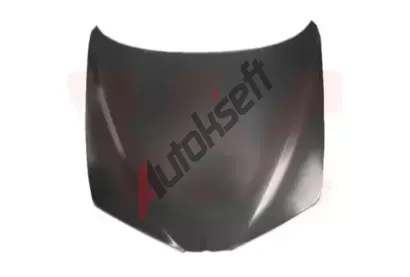 VAN WEZEL Kapota motoru VAW 0160660, 0160660