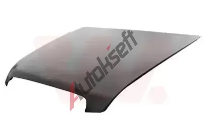 VAN WEZEL Kapota motoru VAW 0318660, 0318660