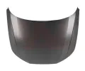 Kapota motoru VAN WEZEL ‐ VAW 0346660