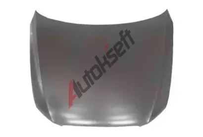 VAN WEZEL Kapota motoru VAW 0380660, 0380660