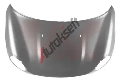 VAN WEZEL Kapota motoru VAW 0508660, 0508660