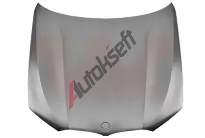 VAN WEZEL Kapota motoru VAW 0593660, 0593660