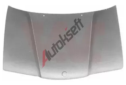 VAN WEZEL Kapota motoru VAW 0640660, 0640660