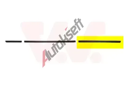 VAN WEZEL Ozdobná/ochranná lišta - dveře VAW 0646425, 0646425 VAN WEZEL Ozdobná/ochranná lišta - dveře VAW 0646425, 0646425