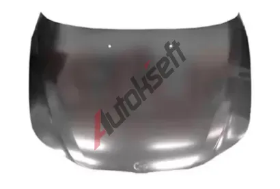 VAN WEZEL Kapota motoru VAW 0655670, 0655670