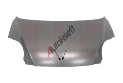 VAN WEZEL Kapota motoru VAW 0807660, 0807660 VAN WEZEL Kapota motoru VAW 0807660, 0807660