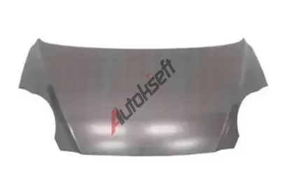 VAN WEZEL Kapota motoru VAW 0807670, 0807670