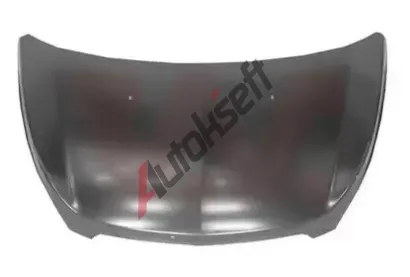 VAN WEZEL Kapota motoru VAW 0808660, 0808660