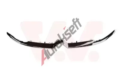 VAN WEZEL Ozdobn / ochrann lita mky chladie VAW 0906513, 0906513