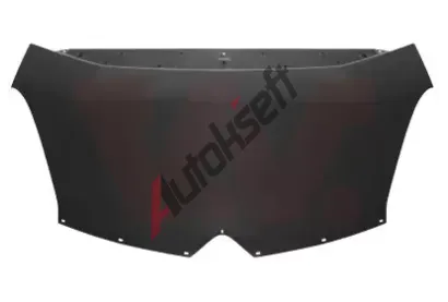 VAN WEZEL Kapota motoru VAW 0972660, 0972660