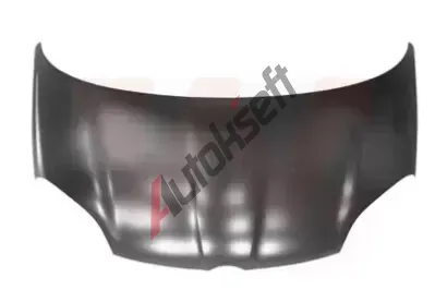 VAN WEZEL Kapota motoru VAW 1607660, 1607660