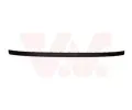 Ozdobn / ochrann lita nraznku VAN WEZEL ‐ VAW 1709550