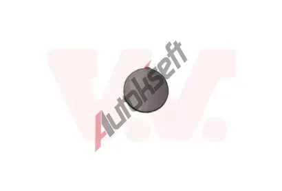 VAN WEZEL Klapka vlenho hku VAW 1862557, 1862557