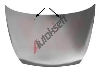 VAN WEZEL Kapota motoru VAW 1865760, 1865760