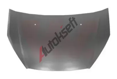 VAN WEZEL Kapota motoru VAW 1888660, 1888660