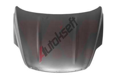 VAN WEZEL Kapota motoru VAW 1905660, 1905660