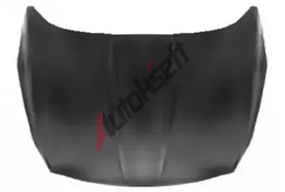 VAN WEZEL Kapota motoru VAW 1906660, 1906660