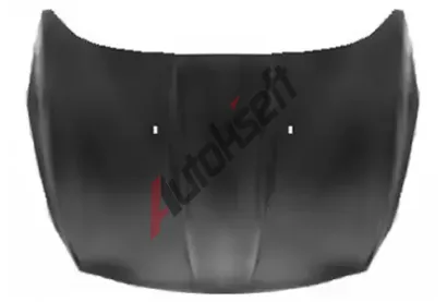 VAN WEZEL Kapota motoru VAW 1906670, 1906670