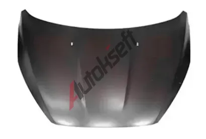 VAN WEZEL Kapota motoru VAW 1947660, 1947660