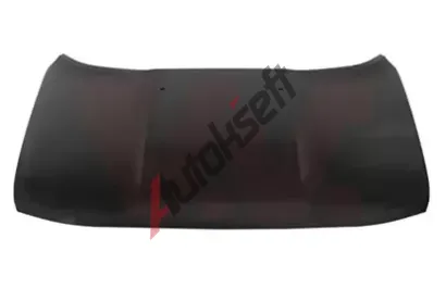 VAN WEZEL Kapota motoru VAW 2126670, 2126670 VAN WEZEL Kapota motoru VAW 2126670, 2126670