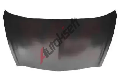 VAN WEZEL Kapota motoru VAW 2543660, 2543660