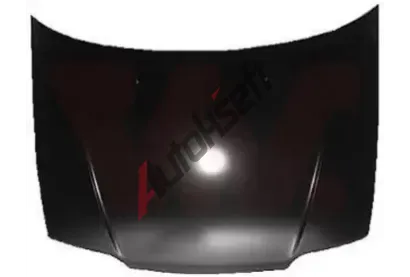 VAN WEZEL Kapota motoru VAW 2564660, 2564660