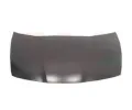 Kapota motoru VAN WEZEL ‐ VAW 2580660