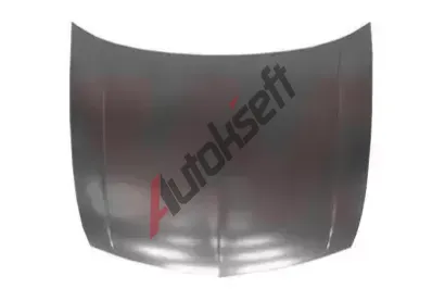 VAN WEZEL Kapota motoru VAW 2582660, 2582660