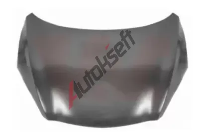 VAN WEZEL Kapota motoru VAW 2738660, 2738660