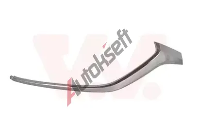 VAN WEZEL Ozdobn / ochrann lita nraznku VAW 2749581, 2749581