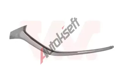 VAN WEZEL Ozdobn / ochrann lita nraznku VAW 2749582, 2749582