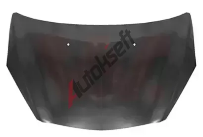 VAN WEZEL Kapota motoru VAW 2763660, 2763660