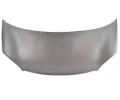 Kapota motoru VAN WEZEL ‐ VAW 2916660