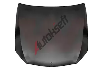 VAN WEZEL Kapota motoru VAW 2924660, 2924660