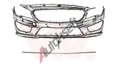 VAN WEZEL Ozdobná / ochranná lišta nárazníku VAW 2937585, 2937585 VAN WEZEL Ozdobná / ochranná lišta nárazníku VAW 2937585, 2937585