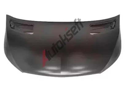 VAN WEZEL Kapota motoru VAW 2973660, 2973660