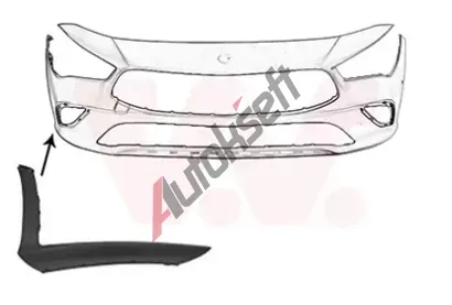 VAN WEZEL Ozdobn / ochrann lita nraznku VAW 2974582, 2974582