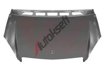 VAN WEZEL Kapota motoru VAW 3017660, 3017660  VAN WEZEL Kapota motoru VAW 3017660, 3017660