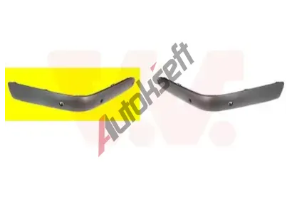 VAN WEZEL Ozdobn/ochrann lita - nraznk VAW 3029588, 3029588