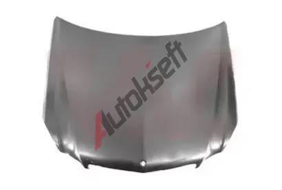 VAN WEZEL Kapota motoru VAW 3044660, 3044660