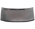 Kapota motoru VAN WEZEL ‐ VAW 3075660