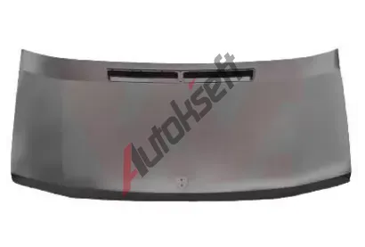 VAN WEZEL Kapota motoru VAW 3075660, 3075660