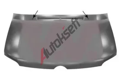 VAN WEZEL Kapota motoru VAW 3076660, 3076660