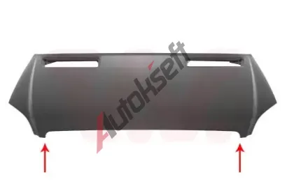VAN WEZEL Kapota motoru VAW 3077660, 3077660